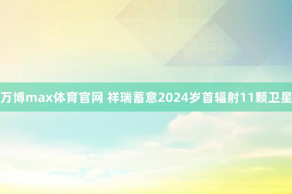 万博max体育官网 祥瑞蓄意2024岁首辐射11颗卫星