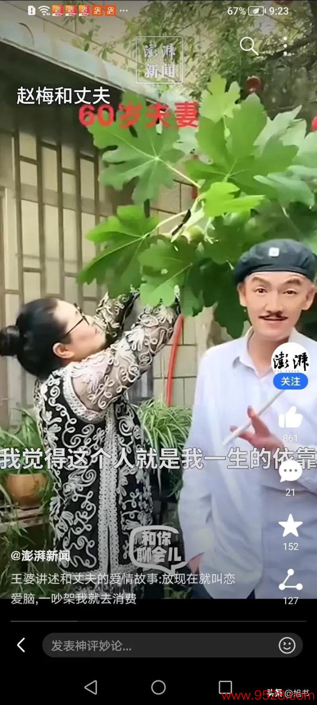 开封王婆称我方是恋爱脑，为了追求爱情连使命齐辞了