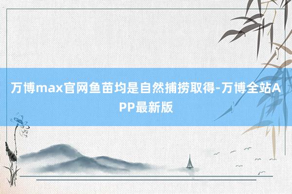 万博max官网鱼苗均是自然捕捞取得-万博全站APP最新版