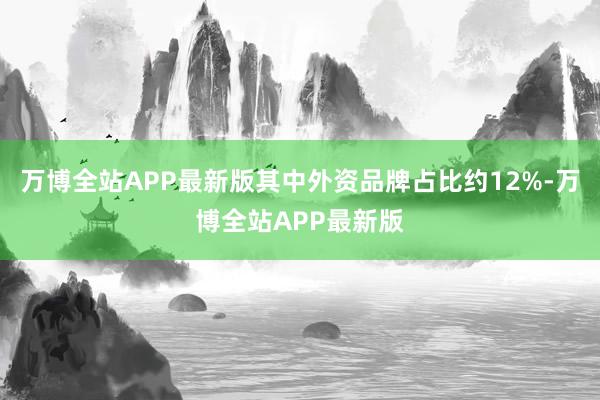 万博全站APP最新版其中外资品牌占比约12%-万博全站APP最新版