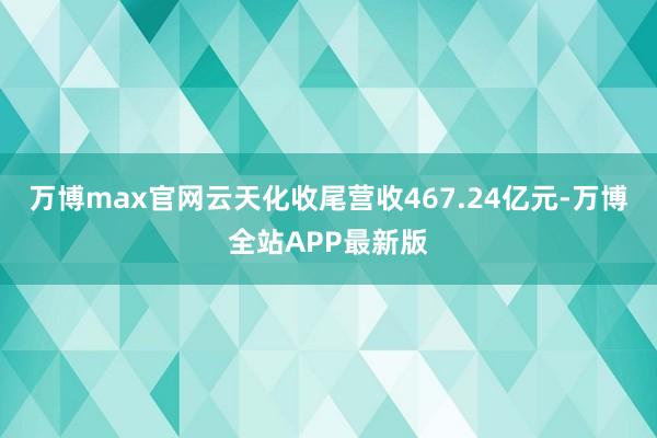 万博max官网云天化收尾营收467.24亿元-万博全站APP最新版